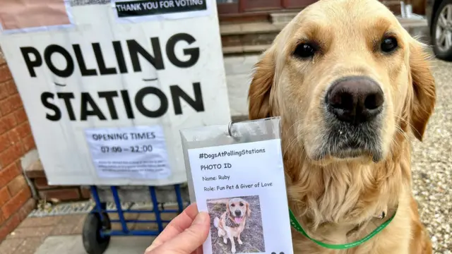 Annette Hill who made her dog Ruby her own photo ID