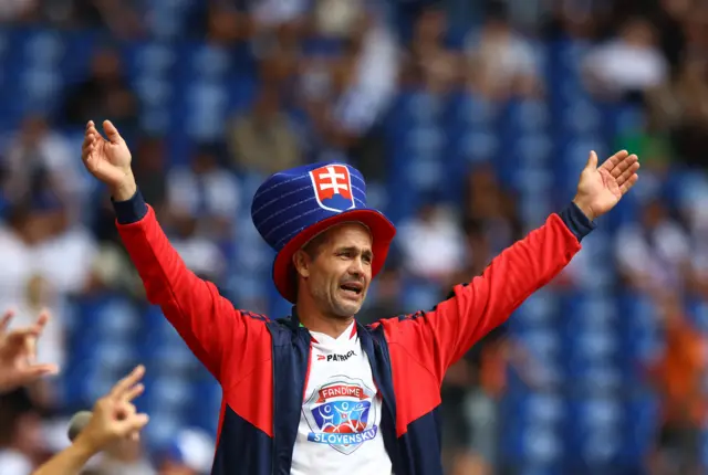 Slovakia fan