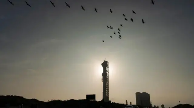 Birds fly near SpaceX's next-generation Starship spacecraft