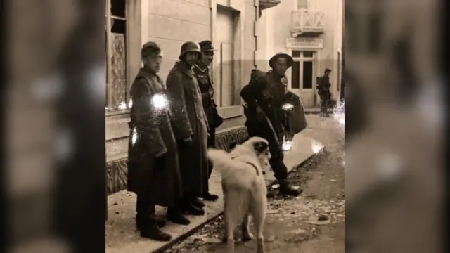 Fritz the dog with soldiers