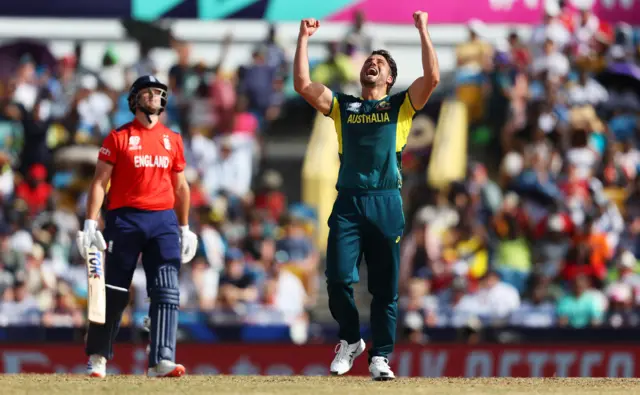 Marcus Stoinis celebrates the wicket of Will Jacks