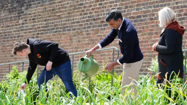 Rishi Sunak watering plants