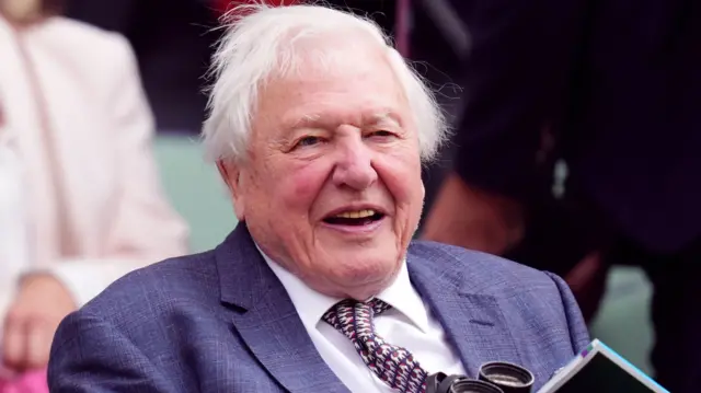 Sir David Attenborough in the royal box