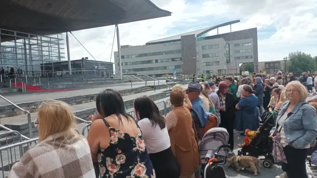 A crowd of about 50 people lining up at the barriers in front of steps of the Senedd building.