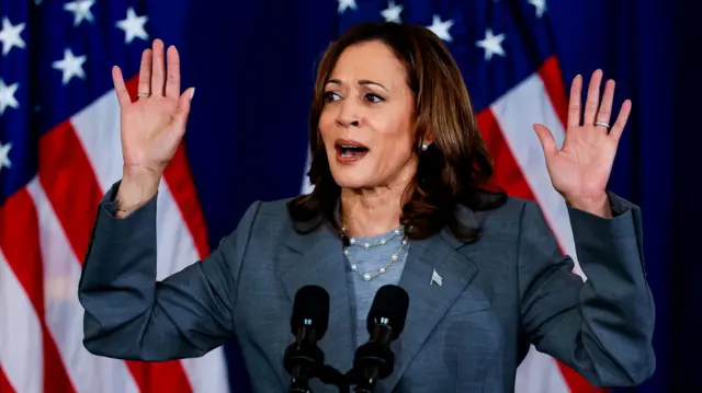 Kamala Harris photographed at a campaign event