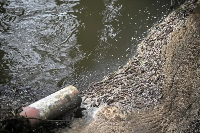 Sweage flowing into river