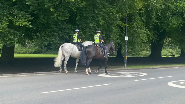 Police horses