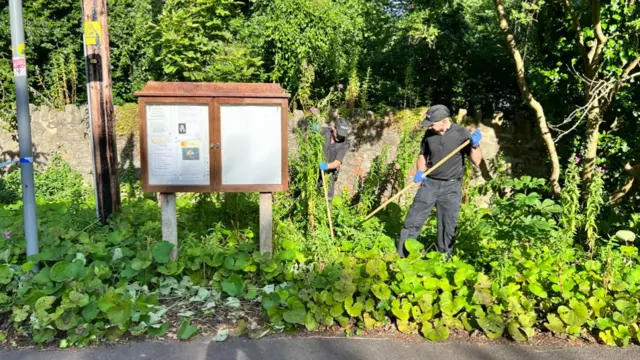 Officers searching an undergrowth by Leigh Woods