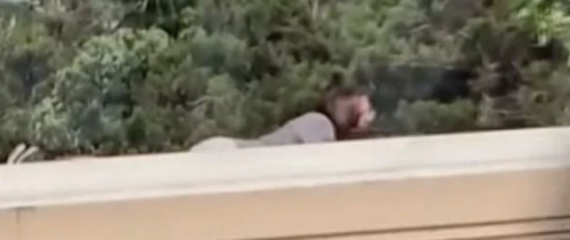 Video showed a gunman on a roof near the rally