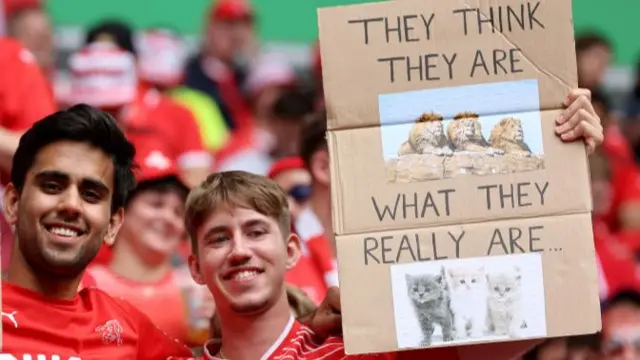 Fans holding up a sign suggesting the Three Lions are three kittens