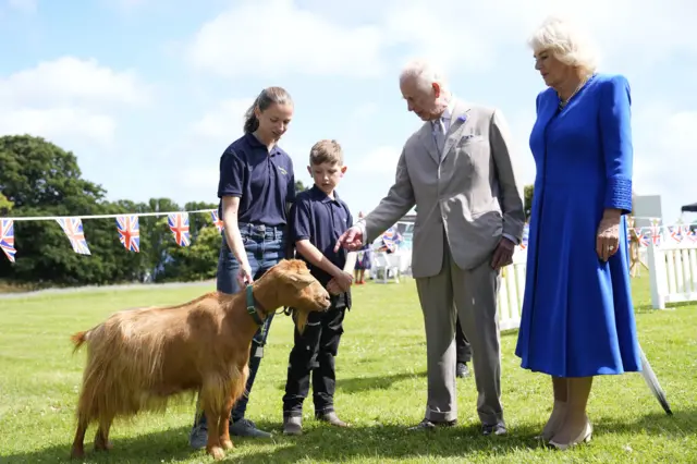 King Charles III and Queen Camilla viewing rare Golden Guernsey Goats during a visit to Les Cotils at L'Hyvreuse, in Saint Peter Port, Guernsey.