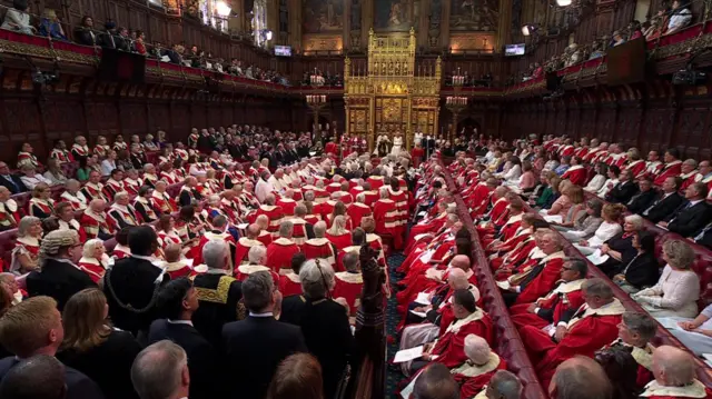 The King addresses the House of Lords