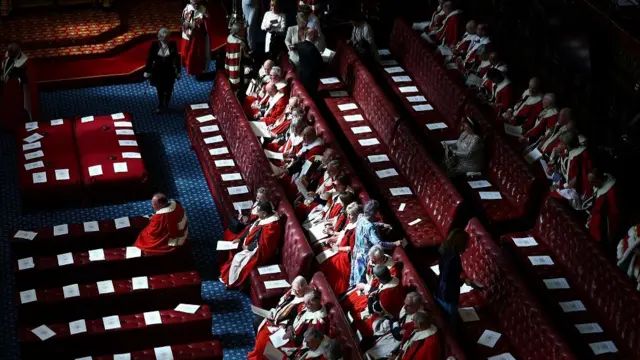 An aerial view of members of the House of Lords take their seats in the Lords Chamber, ahead of the State Opening of Parliament, in the Houses of Parliament, in London, Britai