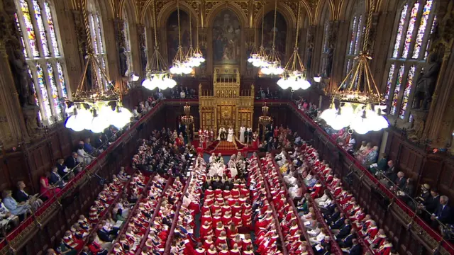 The King addresses the House of Lords