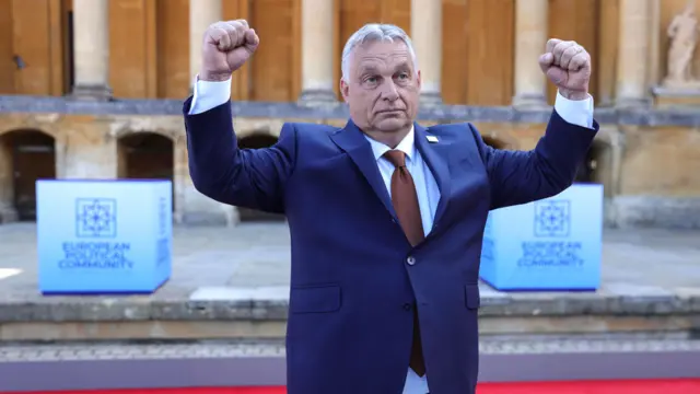 Hungarian Prime Minister Viktor Orban strikes a pose