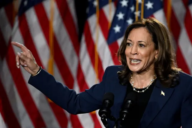 US Vice President Kamala Harris delivers remarks during a campaign event at West Allis Central High School, i