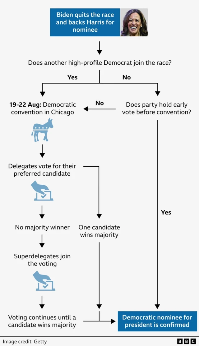 Graphic showing the steps for selecting the Democratic Party presidential nominee