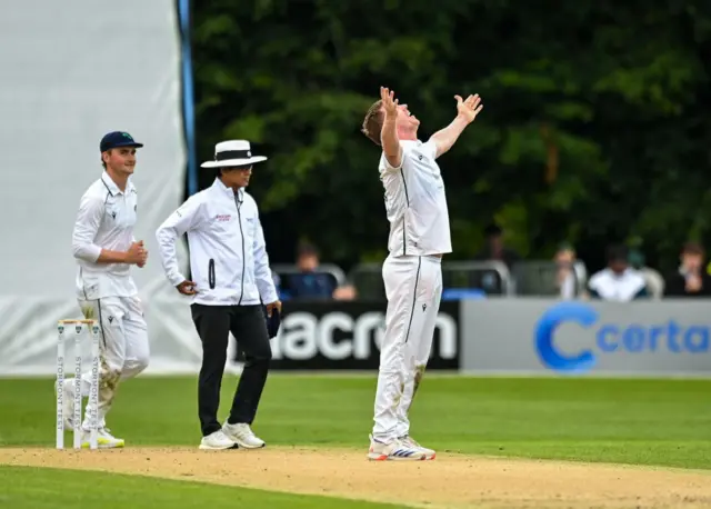 Ireland paceman Craig Young celebrates taking the wicket of Dion Myers