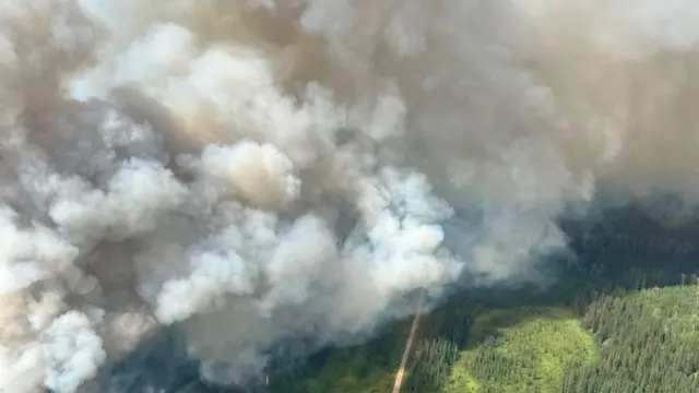 Aerial view of smoke over a green national park