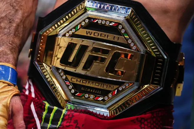 UFC welterweight title