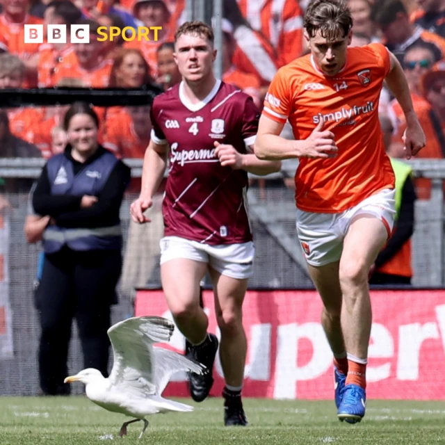 Armagh 0-6 Galway 0-6