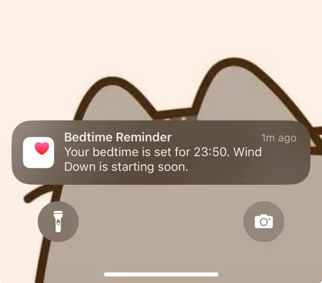 Picture of iPhone bedtime reminder.