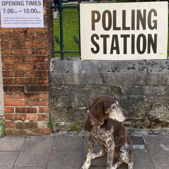 Dog in front of a polling station sign