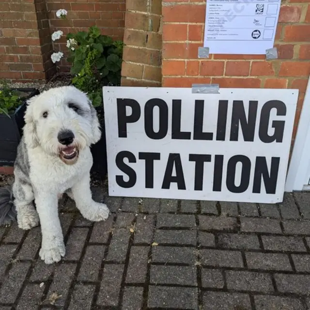 Dog in front of a polling station sign