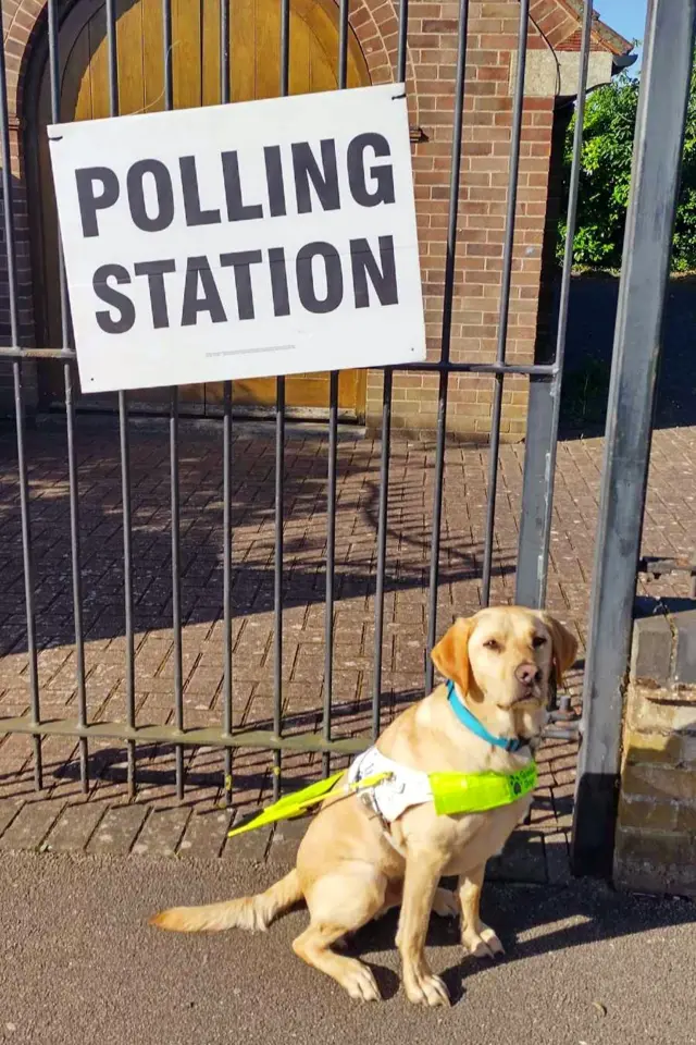 Guide dog Eric outside polling station sign