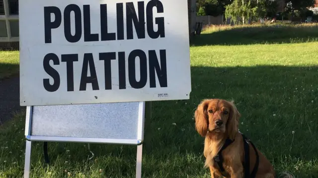 A dog in front of a polling station sign