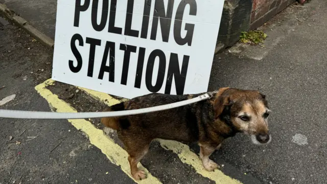 Bobby the dog outside of a polling station in Beverley