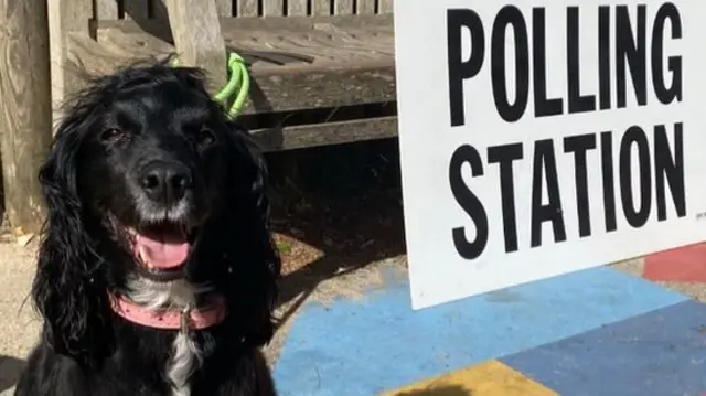 Dog sitting next to a polling station sign