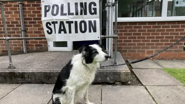 A black and white dog sat outside a polling station