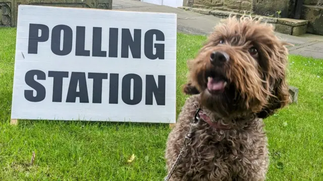 Dog on a leash with a Polling Station sign