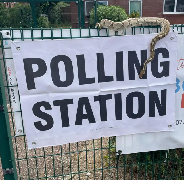 Neptune the snake draped over a polling station sign