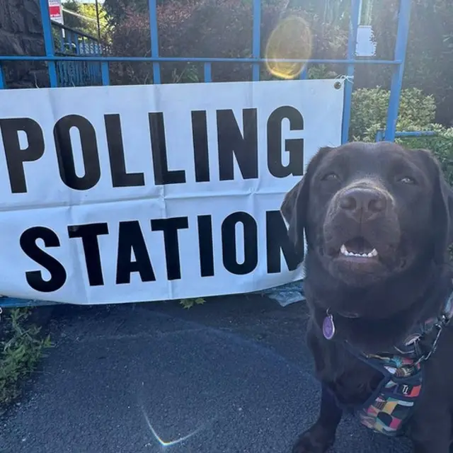 Dog in front of a polling station sign