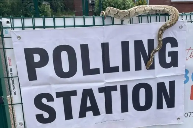 A snake is draped over a fence bearing a polling station sign