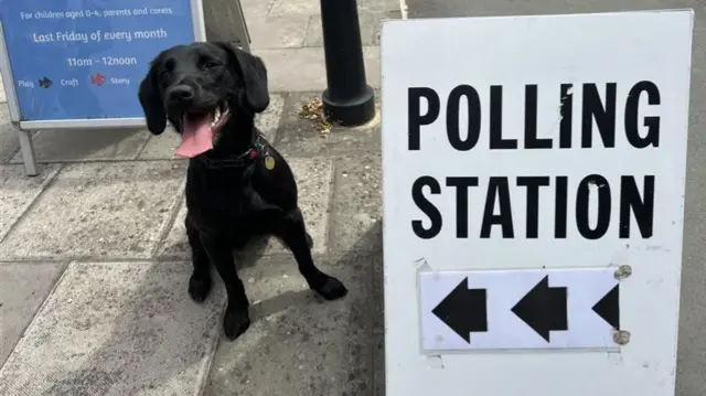 A black dog next to a polling station sign