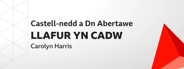 Castell-nedd a Dwyrain Abertawe