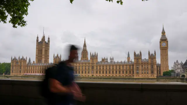 A view of the Palace of Westminster