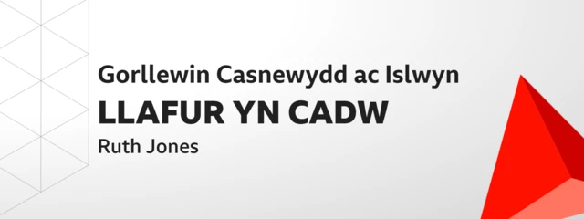 Gorllewin Casnewydd ac Islwyn