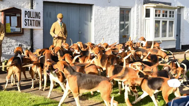 The dogs from the Holderness Hunt in Etton, East Yorkshire