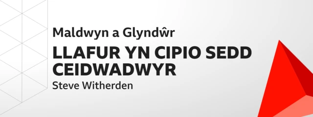 Maldwyn a Glyndŵr