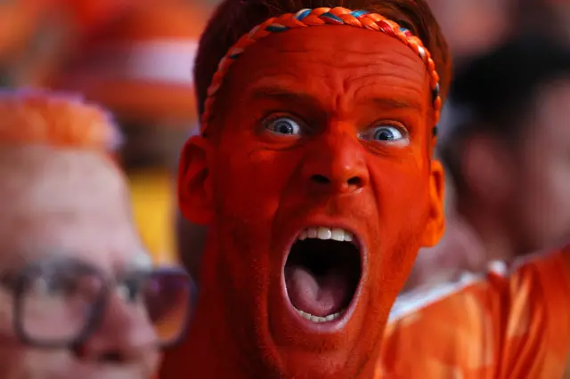 A fan of the Netherlands, wearing face pain