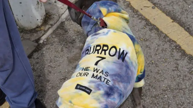 A dog with a message on its back ahead of the funeral