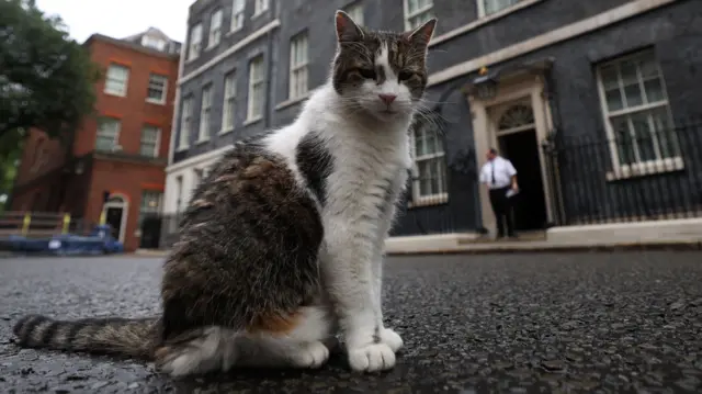 Larry stands outside No 10