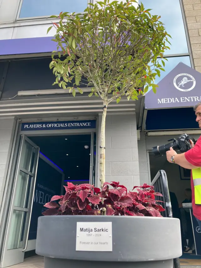 A tree planted outside the players' entrance to The Den in memory of Matija Sarkic