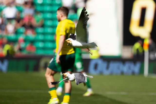 Hibernian 0-2 Celtic