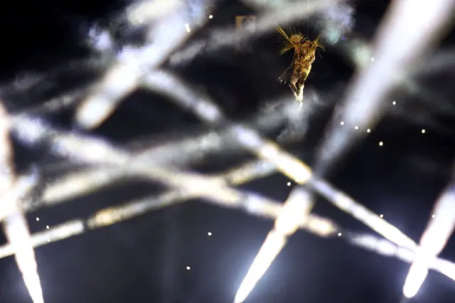 The Golden Voyager descends into the Stadium as a light show takes place during the Closing Ceremony