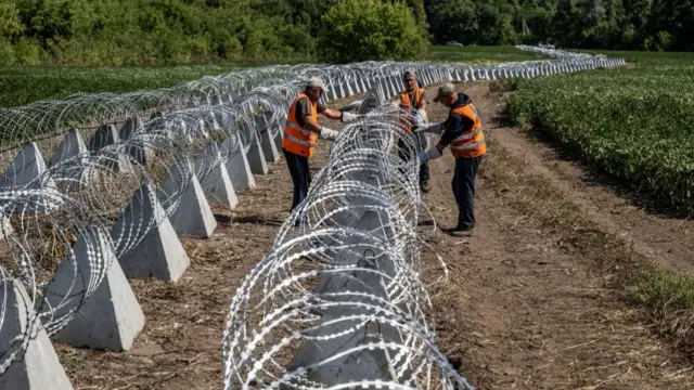 Workers install anti-tank fortifications, named 'dragon's teeth', and razor wire, amid Russia's attack on Ukraine, near the Russian border in Sumy region, Ukraine August 14, 2024.